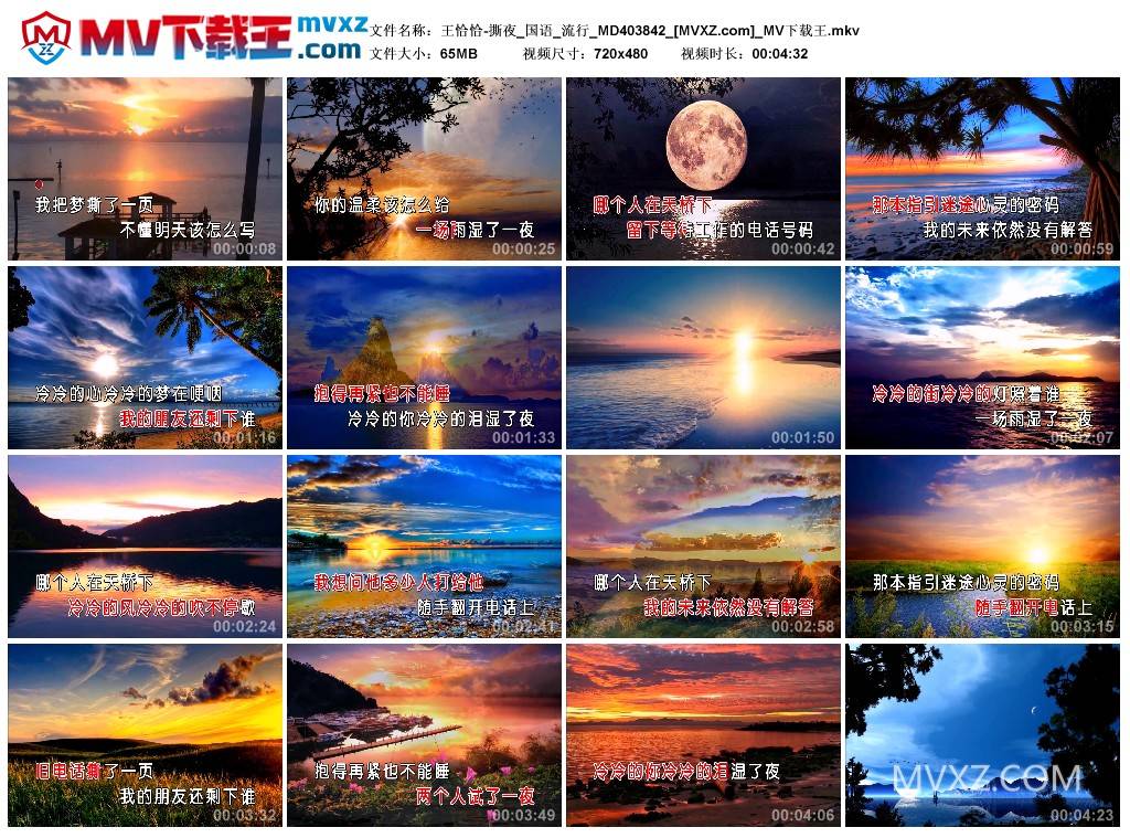 王恰恰-撕夜_国语_流行_MD403842